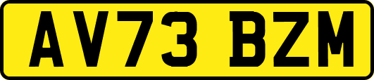 AV73BZM