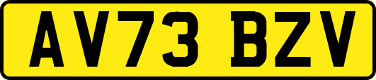 AV73BZV
