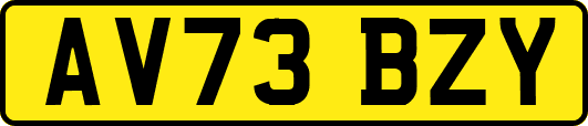 AV73BZY