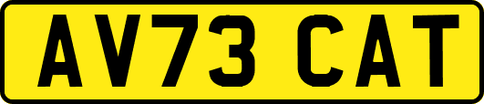 AV73CAT