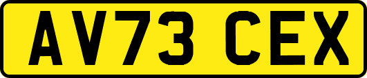 AV73CEX