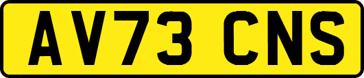 AV73CNS
