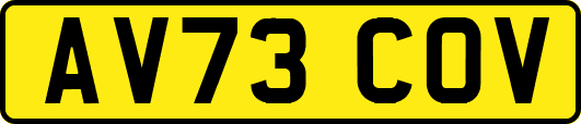 AV73COV