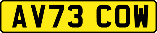 AV73COW
