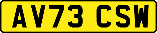 AV73CSW