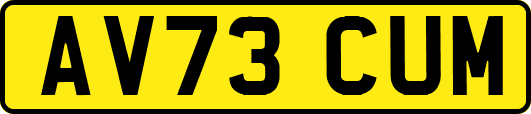 AV73CUM