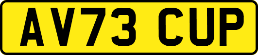 AV73CUP