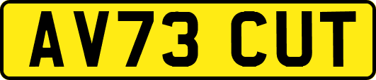 AV73CUT