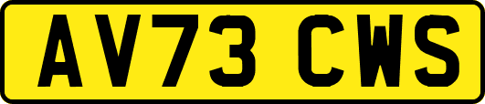 AV73CWS
