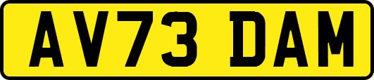 AV73DAM