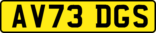 AV73DGS