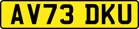 AV73DKU