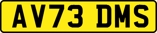 AV73DMS