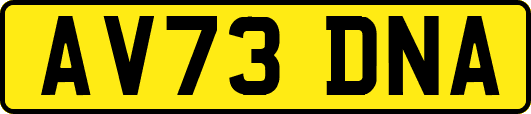 AV73DNA