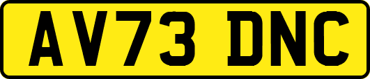 AV73DNC