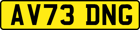 AV73DNG