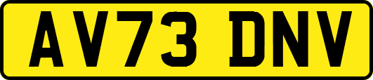 AV73DNV