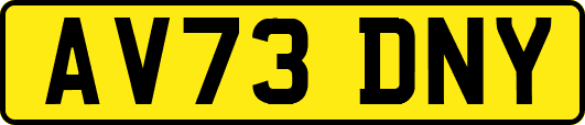 AV73DNY