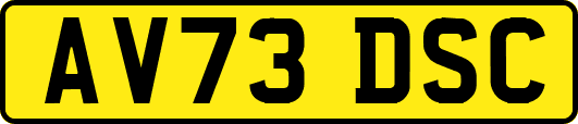 AV73DSC