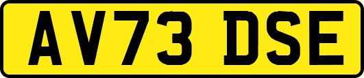 AV73DSE