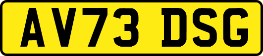 AV73DSG