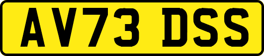 AV73DSS