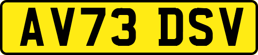 AV73DSV