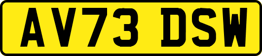 AV73DSW
