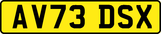 AV73DSX