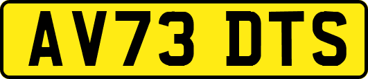 AV73DTS