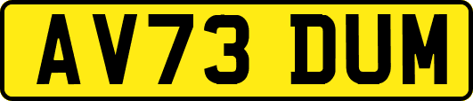 AV73DUM