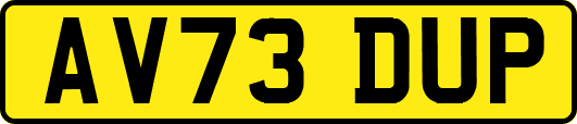 AV73DUP