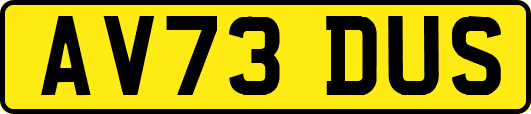 AV73DUS