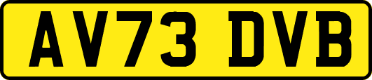 AV73DVB