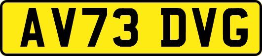 AV73DVG