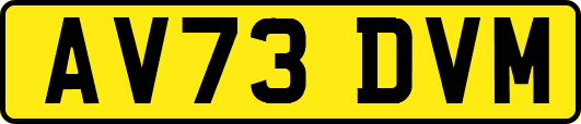 AV73DVM