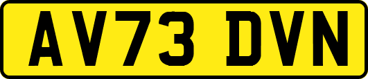 AV73DVN