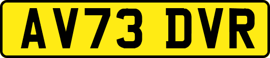AV73DVR