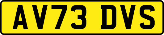 AV73DVS