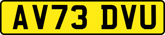 AV73DVU