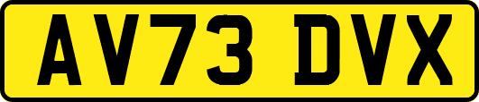 AV73DVX