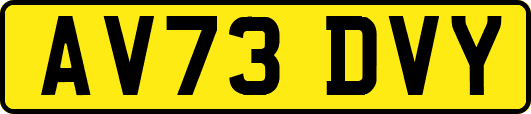 AV73DVY