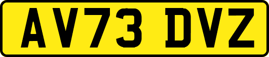 AV73DVZ