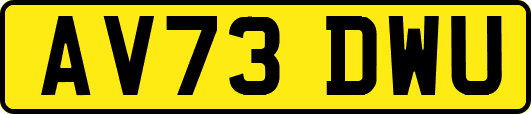 AV73DWU