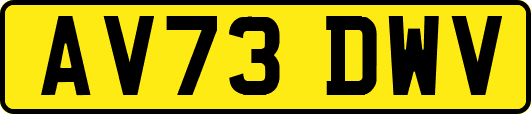 AV73DWV