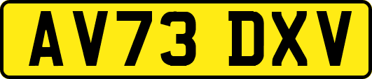 AV73DXV