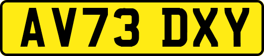 AV73DXY