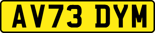 AV73DYM