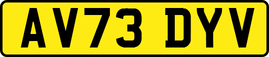 AV73DYV