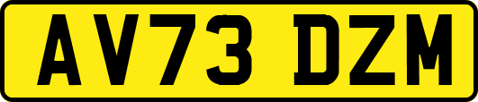 AV73DZM